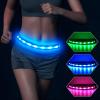 BSEEN LED Running Belt - Rechargeable LED Waistband Refelctive Gear Bands Glow in The Dark Safety Lights for Runners, Joggers, Walkers, Pet Owners, Cyclists (Royal Blue) view 2