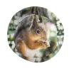 Squirrel Bucket Hat Cute Animal Bucket Hat Happy Muharram Hat Fisherman Hatt Sun Hat for Women Men view 4