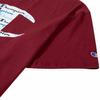 Champion Big and Tall T Shirts for Men  Crewneck Mens Big and Tall Graphic Tee Burgundy view 4