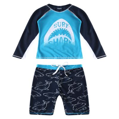 Daenrui Kids Boys Swimsuits UPF 50+ 2-Piece Swim Set Long Sleeve Rash Guard Shirt with Trunks Bathing Suit Sky 6-8 Years