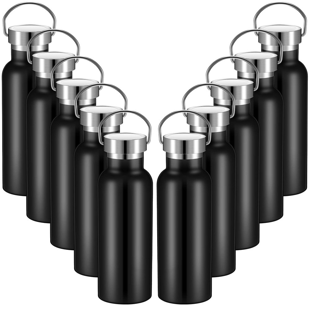10 Pack 17oz Reusable Stainless Steel Water Bottle Bulk Double Wall Insulated Sports Water Bottle with Handle and Vacuum Seal Leakproof Lid for Sports Cyclists Hiking Gym Camping Gift(Black,17 oz)