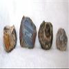 1 Lb 3.3 Oz 4 Geode Dugway Utah Cabochon Cab Gemstone Rough EBS3573 view 1