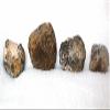 1 Lb 3.3 Oz 4 Geode Dugway Utah Cabochon Cab Gemstone Rough EBS3573 view 3