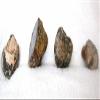 1 Lb 3.3 Oz 4 Geode Dugway Utah Cabochon Cab Gemstone Rough EBS3573 view 4