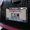 Drake Unversity Bulldogs Logo Full Size Standard License Plate Metal Frame view 3