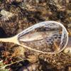 Fly Fishing Landing Net, Outdoor Collapsible Fishing Landing Net Soft Clear Rubber Net Replacement Mesh Bag Fishing Net Replacement Accessory for Fishing Catch and Release(Large 120CM) view 3