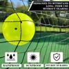 Hoverphenix Pickleball Set with Net for Driveway, Portable Regulation Size Pickleball Net System with Paddle Set of 4, Outdoor Pickleballs, Carry Bag, Weather Resistant Metal Frame view 4