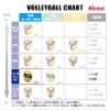 MIKASA V335W Court Volleyball Ball view 2