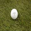 Clean Green Golf Balls Recycled & Used Golf Balls for Titleist Pro V1 Golf Balls - Good Low Condition for Titleist Golf Balls - Includes Mesh Carrying Bag (48) view 4