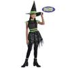 Glow-in-the-Dark Black & Green Midnight Mischief Witch Small Costume (4-6) - 1 Set - Perfect Party Dress Up view 3
