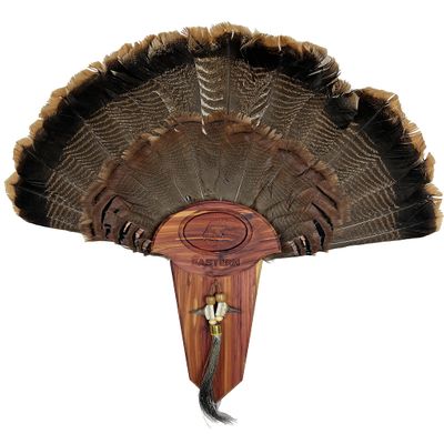 Cedar Turkey Tail Mounting Kit w/Beard and Spur Display- Personalized, Two Designs