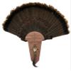 Cedar Turkey Tail Mounting Kit w/Beard and Spur Display- Personalized, Two Designs view 4