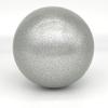 LeStage Rhythmic Gymnastic Ball for Dance Practice, Performance, Exercise, Training - 16cm (6.3") Diameter (Silver) view 1