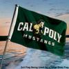 Cal Poly Mustangs Small 2x3 Foot Flag view 4