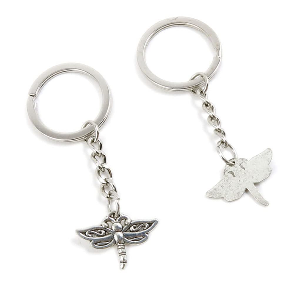 10 Pieces Keychain Keyring Door Car Key Chain Ring Tag Charms Supplies L2XP1B Dragonfly