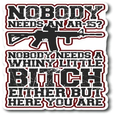 Nobody Needs an AR-15? Nobody Needs A Whiny Little Bitch Either But Here You are |Great Gift Idea|Decal Sticker|2 Pack|5 Inch Stickers|FBMS11290