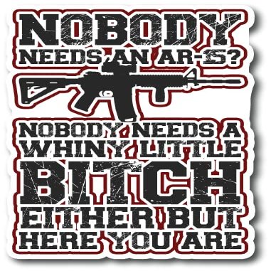 Nobody Needs an AR-15? Nobody Needs A Whiny Little Bitch Either But Here You are |Great Gift Idea|Decal Sticker|2 Pack|5 Inch Stickers|FBMS11290