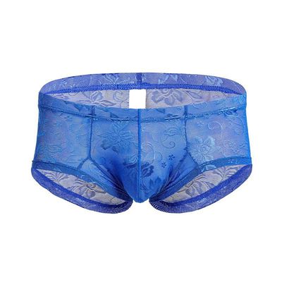 Men's Lace Transparent Thong Underwear Low Rise Lightweight Print Boxer Brief Sport Workout Breathable Swimwear Trunk (Blue,X-Large)