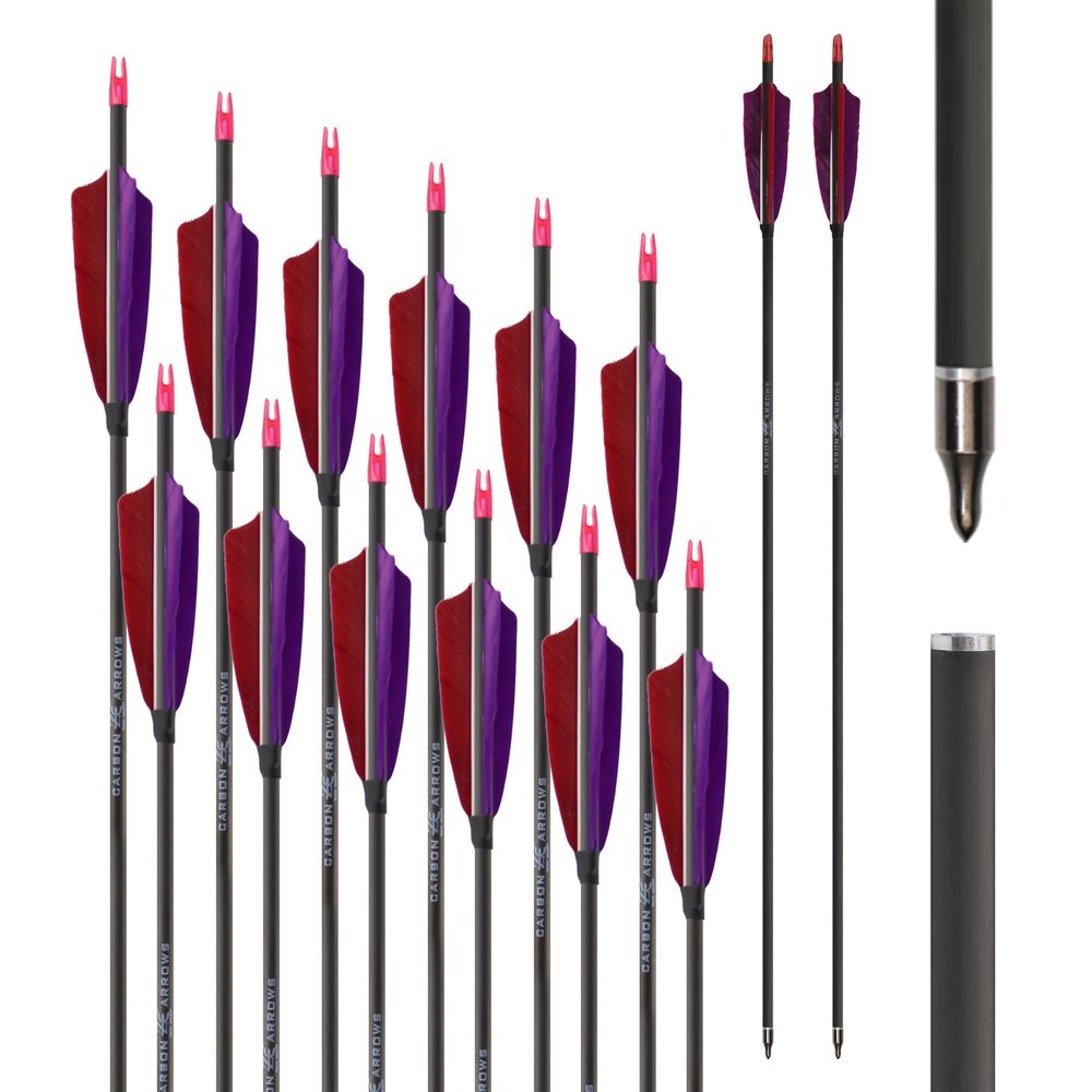 Archery Carbon Arrow 31 inch 600 Spine Pure Carbon with 100 Grain Screw Tips, Hunting Arrows for Compound & Recurve Bow 12PCS