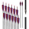 12PCS 600 Spine Pure Carbon Arrows with Real Turkey Feathers Removable 100 Grain Tips Plastic Nocks for Archery Target Hunting view 1