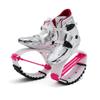Kangaroo Jumping Shoes, Adult Teen Kids Fitness Sports Unisex Bounce Shoes, 3 Sizes (Color : Silver, Size : 39-41) view 1