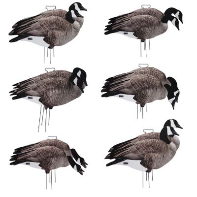 Avery GHG Pro-Grade Silhouette Goose Decoys  Realistic, Stackable Decoys with Steel Stakes (Dozen, 6 Poses), Canada Goose