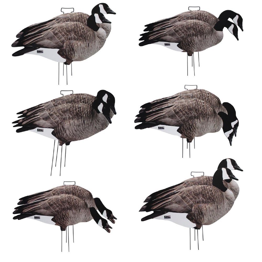 Avery GHG Pro-Grade Silhouette Goose Decoys Realistic, Stackable Decoys with Steel Stakes (Dozen, 6 Poses), Canada Goose