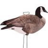 Avery GHG Pro-Grade Silhouette Goose Decoys  Realistic, Stackable Decoys with Steel Stakes (Dozen, 6 Poses), Canada Goose view 2