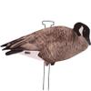 Avery GHG Pro-Grade Silhouette Goose Decoys  Realistic, Stackable Decoys with Steel Stakes (Dozen, 6 Poses), Canada Goose view 3