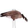 Avery GHG Pro-Grade Silhouette Goose Decoys  Realistic, Stackable Decoys with Steel Stakes (Dozen, 6 Poses), Canada Goose view 4