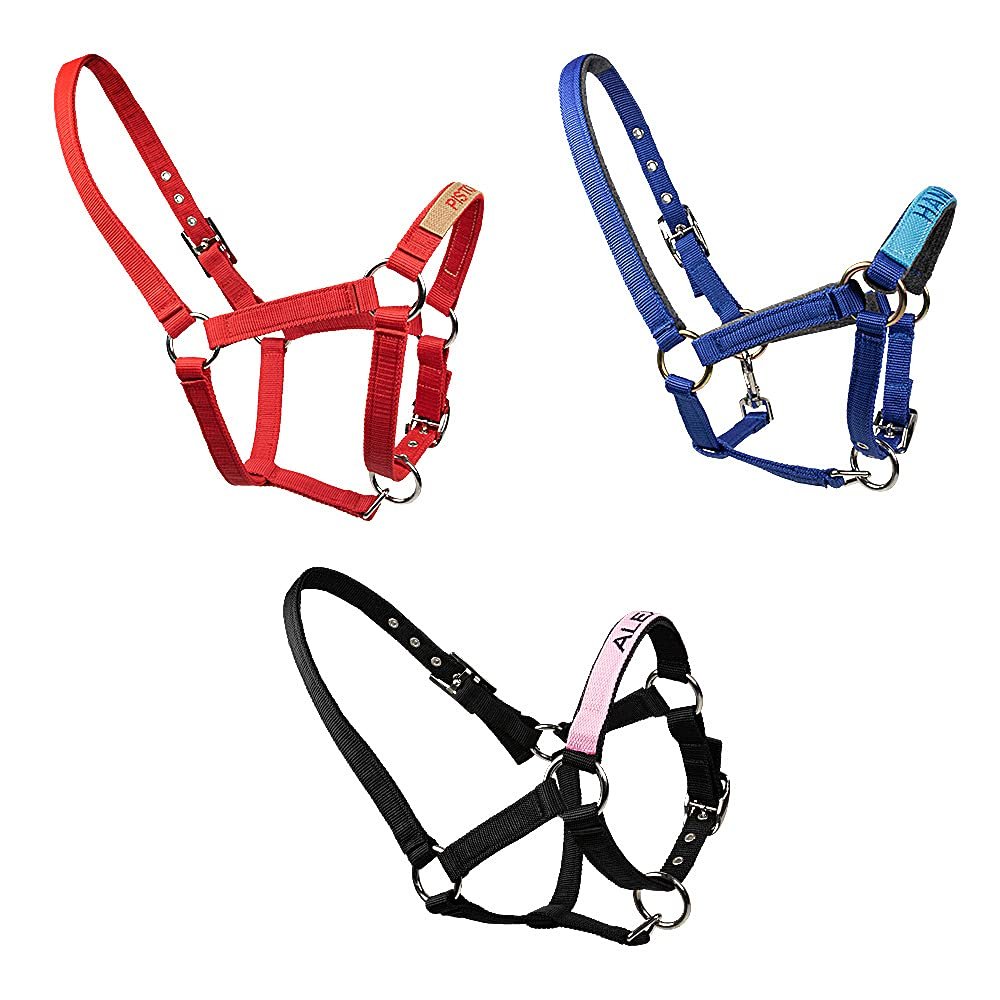 Custom Horse Halter with Name Nylon Halters for Horses Personalized Embroidered Horse Halters