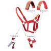 Custom Horse Halter with Name Nylon Halters for Horses Personalized Embroidered Horse Halters view 2