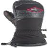 Dakine Team Excursion Gore-Tex Mitt - Louif Paradis, Large view 1