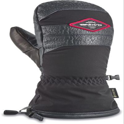 Dakine Team Excursion Gore-Tex Mitt - Louif Paradis, Medium