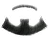 Lenaqueen 100% Human Hair Full Hand Tied Lace Invisible False Beards Hair Fake Face Beard and Mustache for Men Realistic Entertainment Drama Party Movie Makeup (LN-HZ-BlackTN) view 1