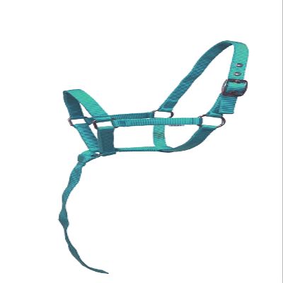 Equitem Nylon Foal Halter with Detachable 13" Catch (Turquoise)
