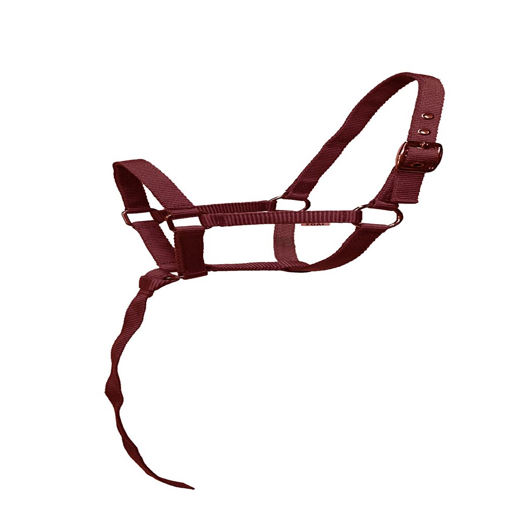 Equitem Nylon Foal Halter with Detachable 13" Catch (Burgundy)
