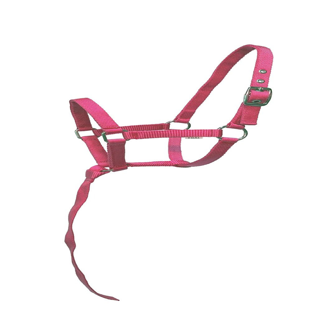 Equitem Nylon Foal Halter with Detachable 13" Catch (Dark Pink)