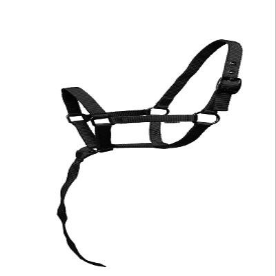 Equitem Nylon Foal Halter with Detachable 13" Catch (Black)