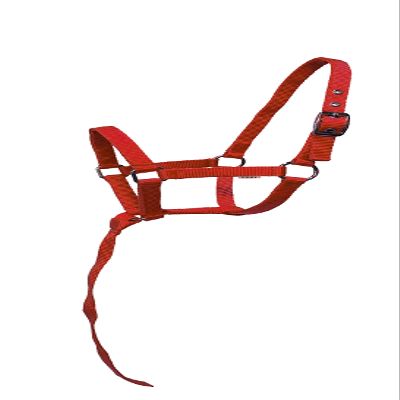 Equitem Nylon Foal Halter with Detachable 13" Catch (Red)