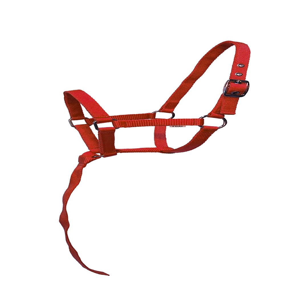 Equitem Nylon Foal Halter with Detachable 13" Catch (Red)