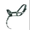 Equitem Nylon Foal Halter with Detachable 13" Catch (Dark Green) view 1