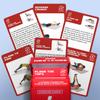 Abs and Core Exercise Cards  75+ Workout Cards to Help Build Core Strength, Stability, Outdoor, Work from Home Fitness Workout view 4