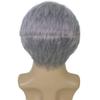 HPO Adult Men's US Chief Pandemic Frantic Fauci Doctor Grey Silly Wig, Synthetic Soft Fibers, Perfect for your Halloween & Cosplay Party! view 4