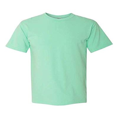 Comfort Colors Men's Adult Short Sleeve Tee, Style 1717 (Small, Cucumber)