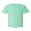 Comfort Colors Men's Adult Short Sleeve Tee, Style 1717 (Small, Cucumber) view 1