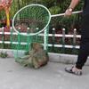 Animal Control Catch Net Pole Tool for Dog Shoat Goat Cat Boar Hog Pig Racoon Possum Skunk Goose Chickens Pigeon - Heavy Duty view 4