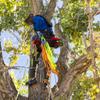 Weavor Arborist Speedline Kit view 4