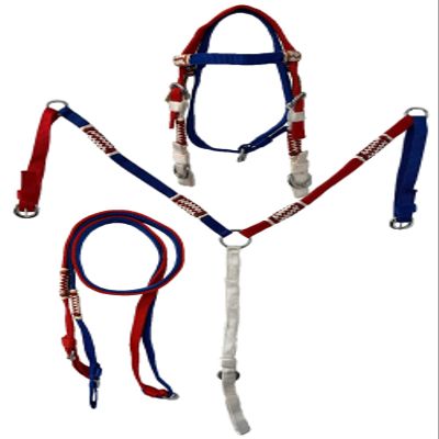 Equitem Pony Size Nylon Headstall and Breast Collar Set with Rawhide Accents (Red, White & Blue)