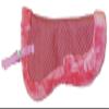 Equitem Faux Fur Trim Half Pad for Horse English Riding Saddle Correction (Pink) view 1